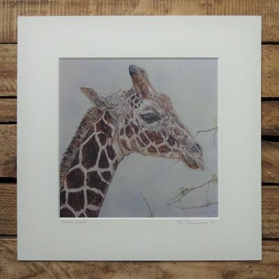 gentle giant print