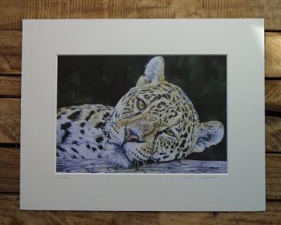 kumar print