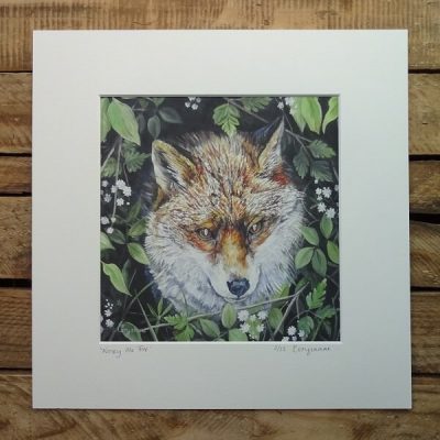 Nosey Mr Fox