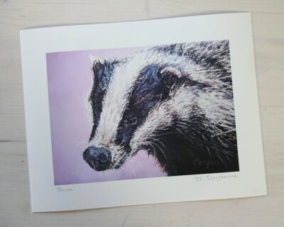 blush badger limited edition print