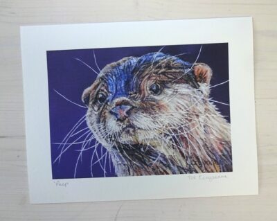 Peep otter limited edition print