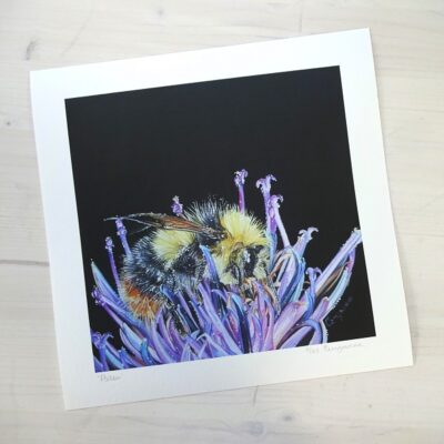 Pollen limited edition print