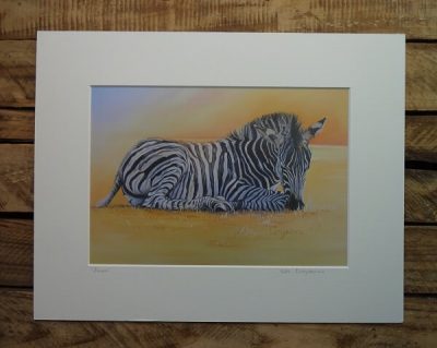zaira print