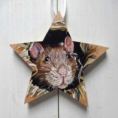 miniature pet portrait star