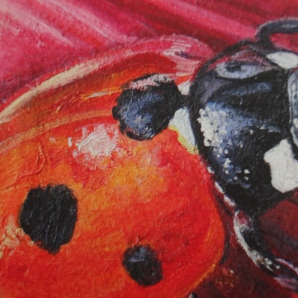 Lady in Red - 8" x 10" Limited Edition Lady Bird Print - Image 5