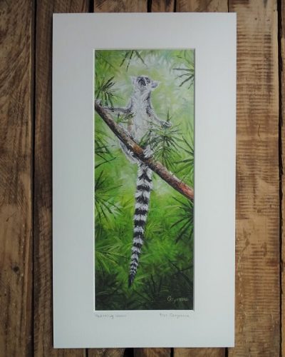 meditating lemur print