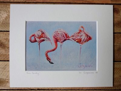 pink candy print