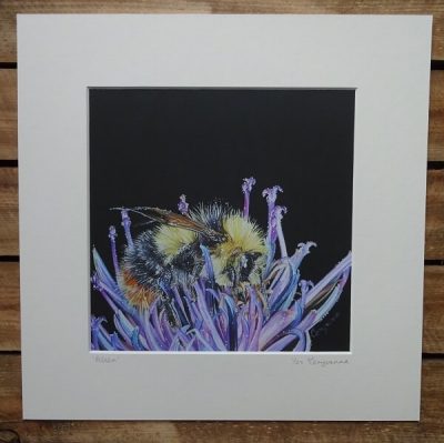 Pollen print