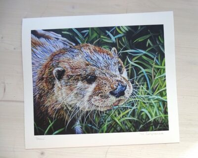 danu limited edition print