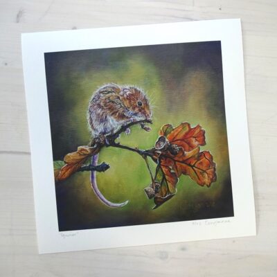 equinox limited edition print