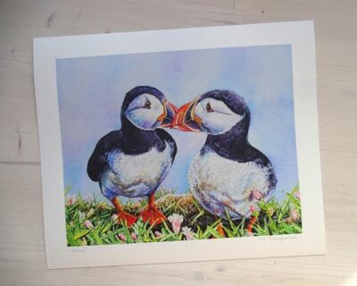 gossip puffin limited edition print