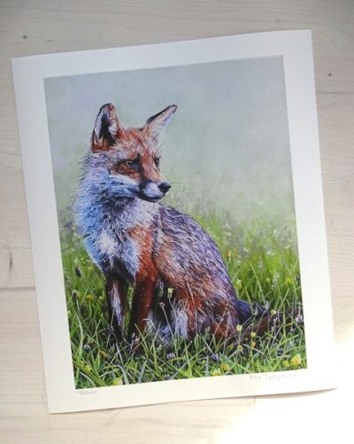 Heath limited edition print