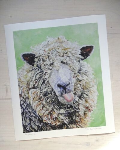 raspberry limited edition print