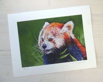 roux red panda limited edition print