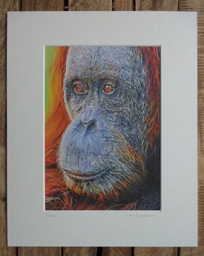 Louie print