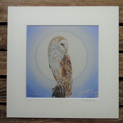 Luna print