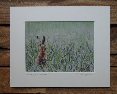 Waiting on a Whisper - 5" x 7" Limited Edition Giclee Hare Print