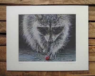 Berry - 8" x 10" Raccoon Limited Edition Print