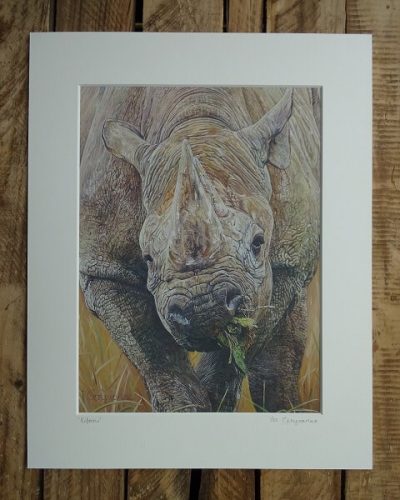 Kifaru - 8" x 10" Rhino Limited Edition Print