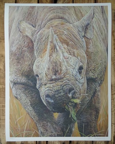 Kifaru - 12" x 16" Limited Edition Rhino Print