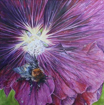purple haze shop home accessories