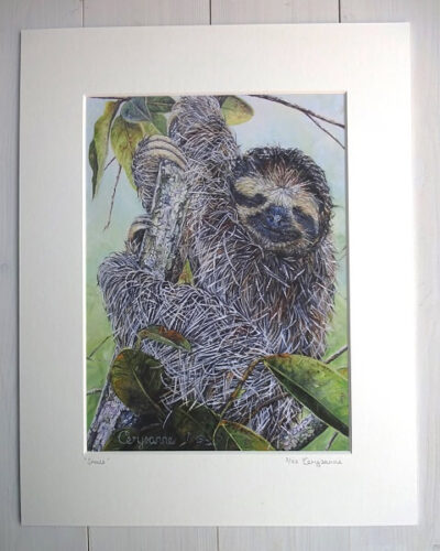 Smile limited edition sloth print shop Claire Cerysanne Groves