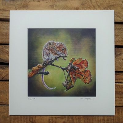 Equinox- 8" x 8" Limited Edition Giclee Mouse Print
