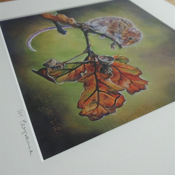 Equinox- 8" x 8" Limited Edition Giclee Mouse Print - Image 3