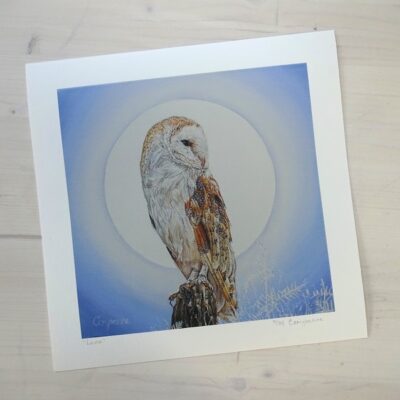 Luna limited edition print