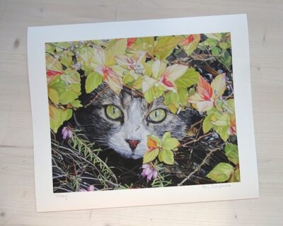 Misty limited edition print