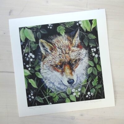 Nosey Mr Fox limited edition print