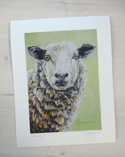 Sammy limited edition print