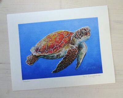 scooter limited edition print