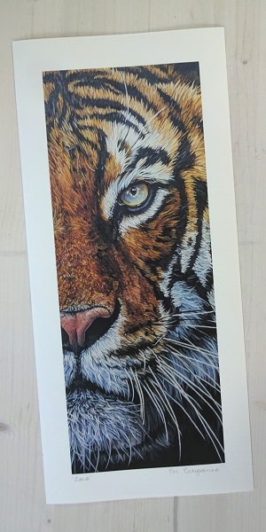 zona tiger limited edition print