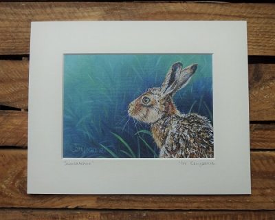 Sun Catcher - 5" x 7" Hare Limited Edition Giclee Print