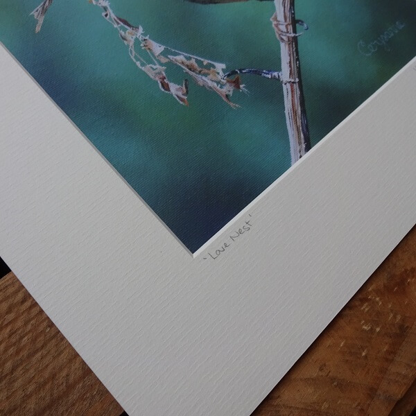 Love Nest - 8" x 8" Limited Edition Giclee Wren Print - Image 3