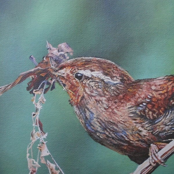 Love Nest - 8" x 8" Limited Edition Giclee Wren Print - Image 4