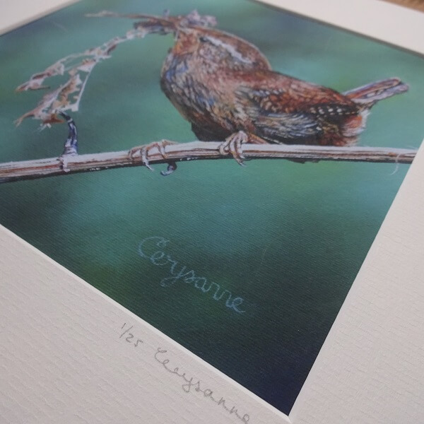 Love Nest - 8" x 8" Limited Edition Giclee Wren Print - Image 2