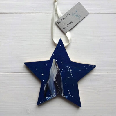 Delphinus dolphin star constellation