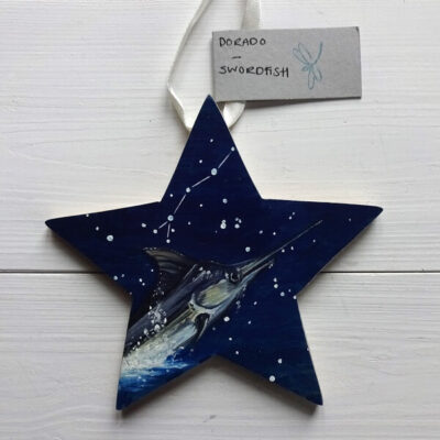 dorado flying fish star constellation