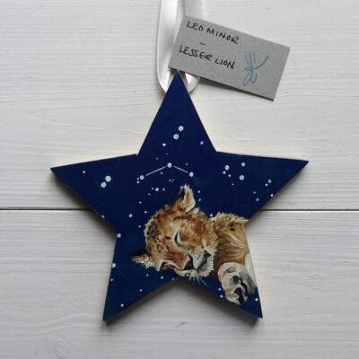 Leo minor star constellation