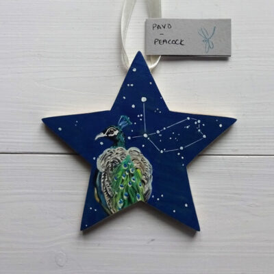 Pavos peacock star constellation