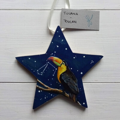 toucana toucan star constellation
