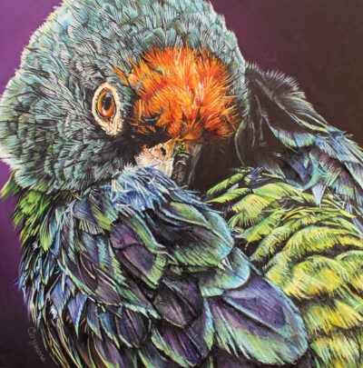 Ritzy - art -shop wildlife art
