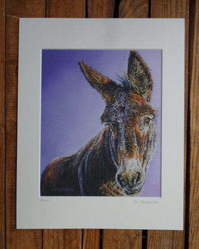 plum donkey print