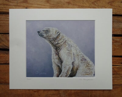 saint polar bear print