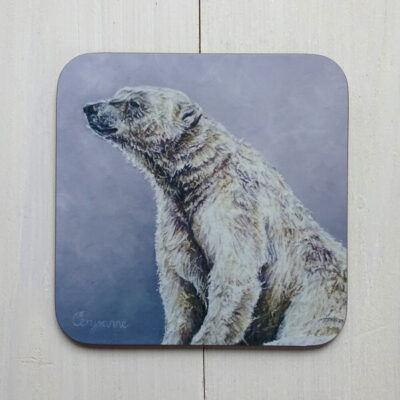 saint coaster tableware