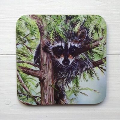 bandit coaster tableware