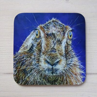 whiskers hare coasters
