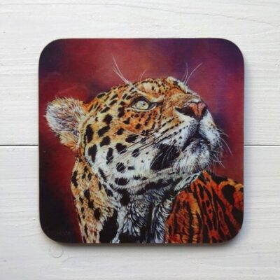 Focus coaster tableware